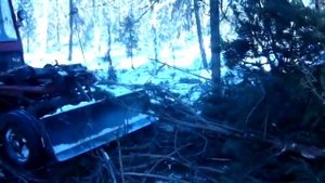 Т-16 в лесу. Трелевка лебедкой