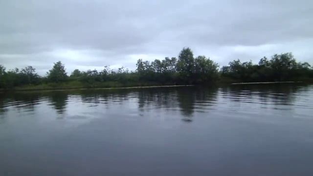 Компас 450 ФиХ Задиак кривая стрежь смотреть онлайн