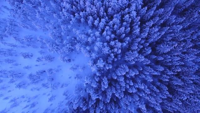 Сура «Ясин» Красивое чтение Корана , слушайте каждый день смотреть онлайн