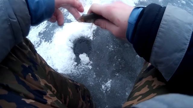 Зимняя рыбалка Железногорск