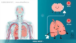 Слабый иммунитет? В чем истинная причина?