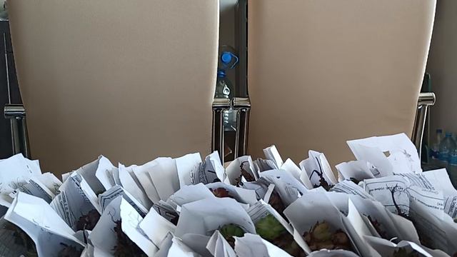 Распаковка молодило (часть 10) смотреть онлайн