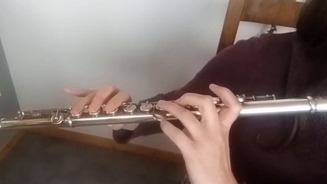 Irish Music on Silver Flute | Irish Flute Play Along Lesson | Ril Liatroma (reel) смотреть онлайн