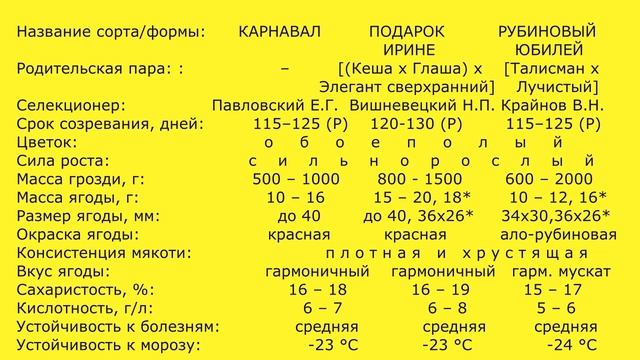 @Какой виноград посадить, Карнавал, Подарок Ирине, Рубиновый юбилей
