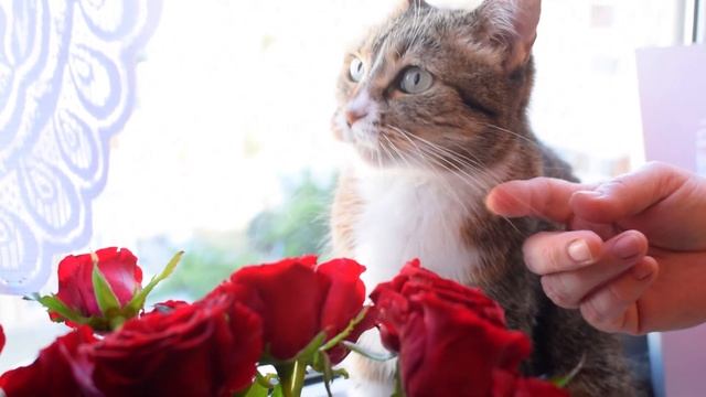 Улетный салат из свеклы. Со стола улетает сразу! Мамины рецепты