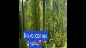 По Святым местам