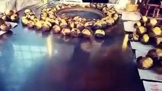 Жаренные каштаны?❣️ смотреть онлайн