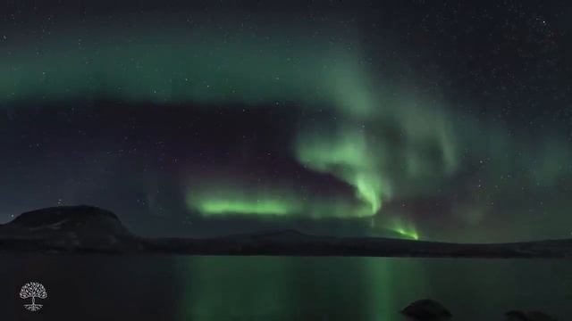 Музика для зцілення всіх болів тіла, душі та духу • Заспокоєння розуму, розслаблююча музика смотреть онлайн