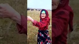 Актаныш эбие