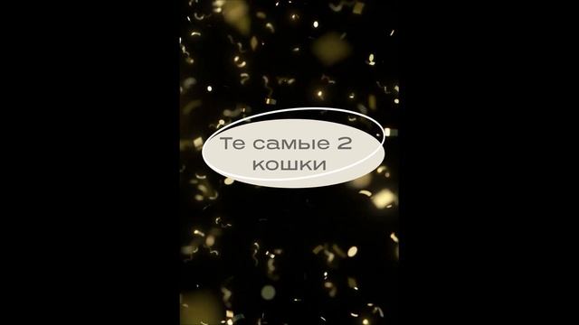 ТИПИЧНЫЕ 2 КОШКИ! смотреть онлайн