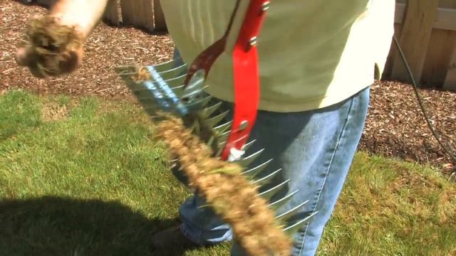 Lawn Care & Landscaping : How to De-Thatch a Lawn смотреть онлайн