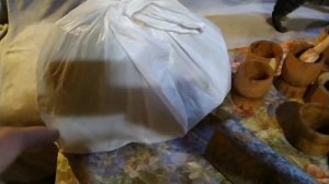 Сушка древесины кругляка без трещин . Красный дуб.