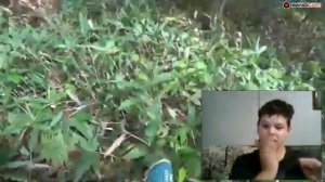 Короче говоря я потерялся в лесу реакция на пяточка