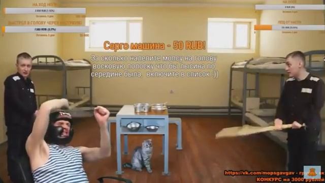 МОПС ПОТЕРЯЛ СОЗНАНИЕ ПОСЛЕ 2 УДАРОВ АНДРЮХИ! смотреть онлайн