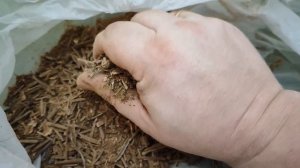 Табак. Центральная жилка. Что я с ней делаю