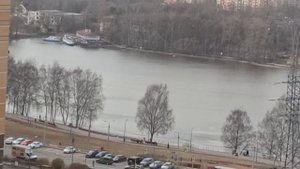 Вид с 15 этажа на Канал им Москвы город Долгопрудный