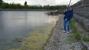 Рыбалка в черте города Краснодар. Оз.Карасун. Карась на хлеб.