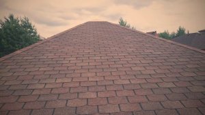 Docke Цюрих Арахис