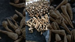 Корень силы, пастернак, сельдерей