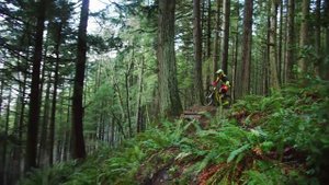 Покатушки Red Bull