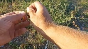 Собираю новое фидерное удилище . Фидерный монтаж Природа рыбалка фидер рыбак красота природы обзор