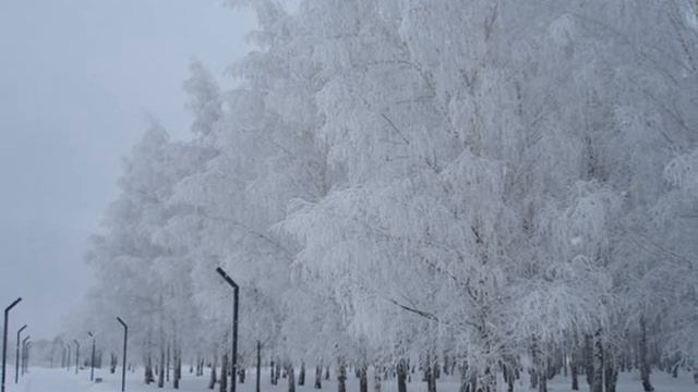 красивая зимняя видеозарисовка