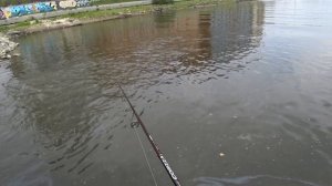 Судаки Окуни Щуки на Вертушки Колебалки Джиг! Поклёвки на Каждом Забросе! Рыбалка на Спиннинг