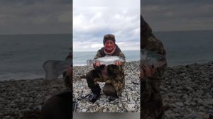 Ловля форели в чёрном море 2022 г.