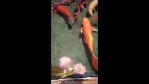 3д полы под ключ