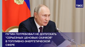 Путин потребовал не допускать "серьезных ценовых скачков" в топливно-энергетической сфере