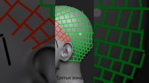 как разделять голову на зоны, чтобы сплести точечные афрокосички