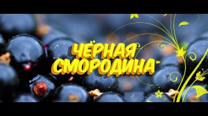 ♫♬ Черная смородина / Sevenrose / Новинка 2021