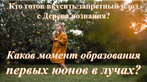 Каков момент образования первых юонов в лучах?