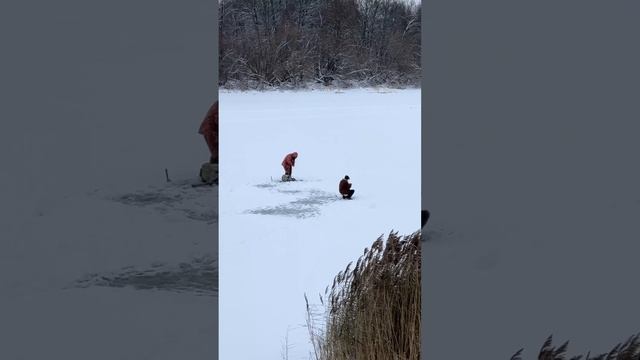 Зимняя рыбалка. Ярославль. Река которосль. Winter fishing. Yaroslavl. River Kotorosl.