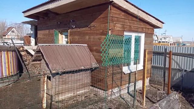 Покраска стен маслом смотреть онлайн