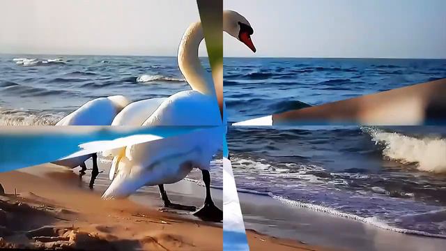 Небом Данная,Любовь единственная,Божественная,Счастье,Радость,Гармония смотреть онлайн