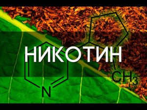 Никотин Вейп Снюс Айкос Секреты манипуляции БРОСИТЬ КУРИТЬ ОБЩЕЕ ДЕЛО