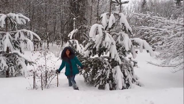 Солнечногорск. Парк отель "Cолнечный" смотреть онлайн