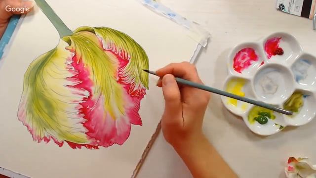 LIVE! Parrot Tulip in Watercolor 12:30pm ET