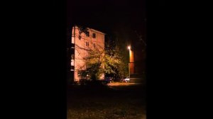 Муслим Магомаев- Луч солнца золотого (D O O M E R W A V E)