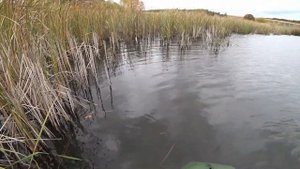 Ловля ЩУКИ на воблеры РАПАЛА