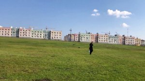 Что делать если у собаки на коже появились шишки? Едем разбираться в ветклинику