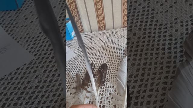 обзор на перья коршуна смотреть онлайн