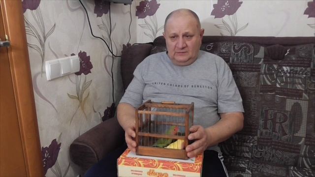 неразлучники//как выбрать попугая неразлучника // первые дни дома смотреть онлайн