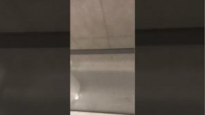 Мытьё москитных сеток.