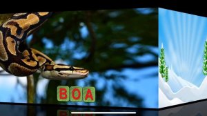 Learn to read and save the animals 2 на английском bites his hand!