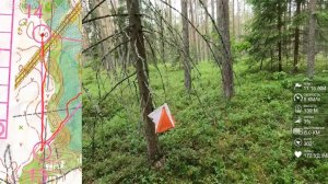 Спортивное ориентирование (headcam orienteering) - ЧиП Псковской области, Себеж - 19.06.2022