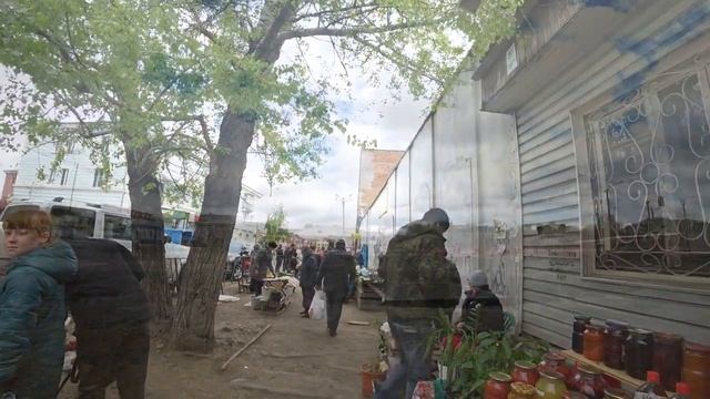 У нас стоит холодная погода.Посеяли газонную траву на площади. смотреть онлайн