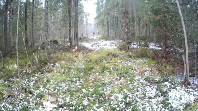 Красоты нашего района 81 выпуск,работа с кусторезом в сучках прочистка просек, смотреть онлайн