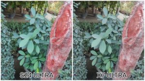 Samsung Galaxy S24 Ultra Vs Oppo Find X7 Ultra Camera Test Comparison